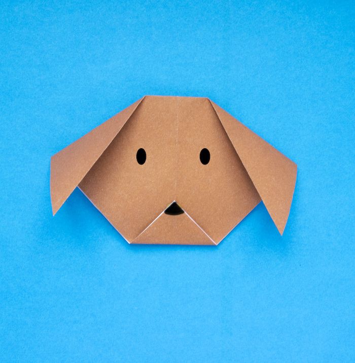 Dog Is In the Details